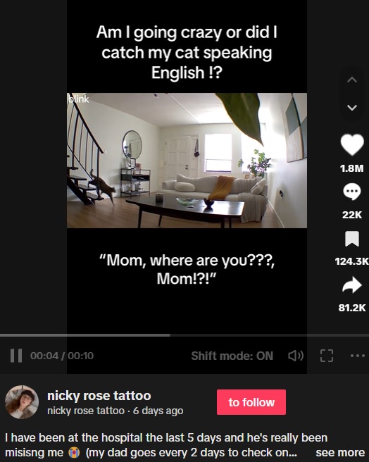 ペットカメラが捉えたリビングの様子。飼い主の女性は入院中で、猫は女性を探しているようだった（画像は『nickyrosetattoo　2023年8月22日付TikTok「I have been at the hospital the last 5 days」』のスクリーンショット）