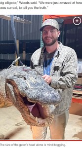 肉はチキンのような味だそうで、約172キロがミシシッピ州のフードシェルターに寄付され、食事に困っている人々に配給されるという。また革はチームの家族らでシェアし、ブーツやカバンに生まれ変わる予定になっているそうだ（画像は『New York Post　2023年8月28日付「Record-shattering 800-pound ‘nightmare material’ alligator caught in Mississippi」』のスクリーンショット）