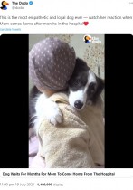 【海外発！Breaking News】大好きな飼い主のがんに気付いた犬、その後の優しいハグに涙＜動画あり＞