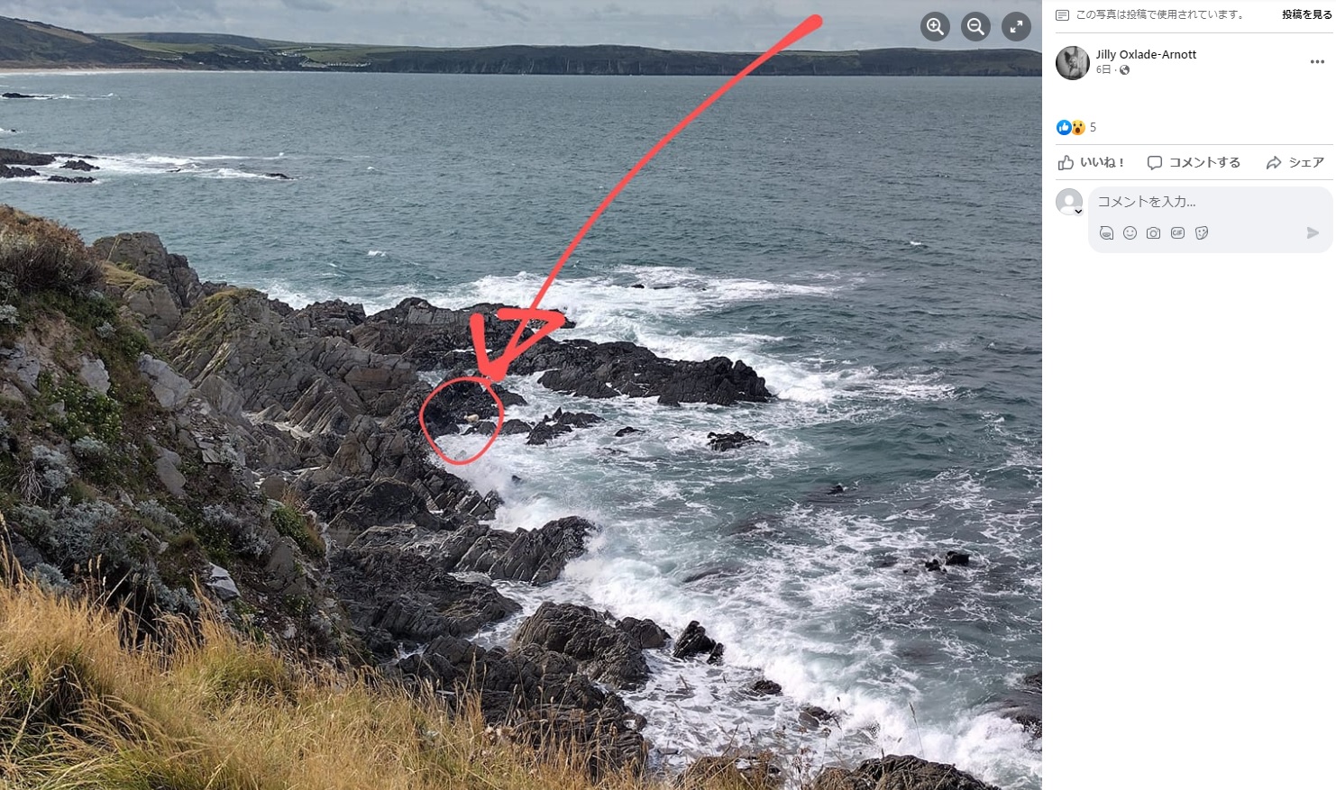 海岸沿いを散歩していた夫婦は、波の打ち寄せる岩場に白い影を発見した。撮影した写真を拡大してみると、羊が行き場を失っていたことが明らかになった（画像は『Jilly Oxlade-Arnott　2023年8月7日付Facebook「Chris Oxlade-Arnott rescued a sheep today!」』のスクリーンショット）