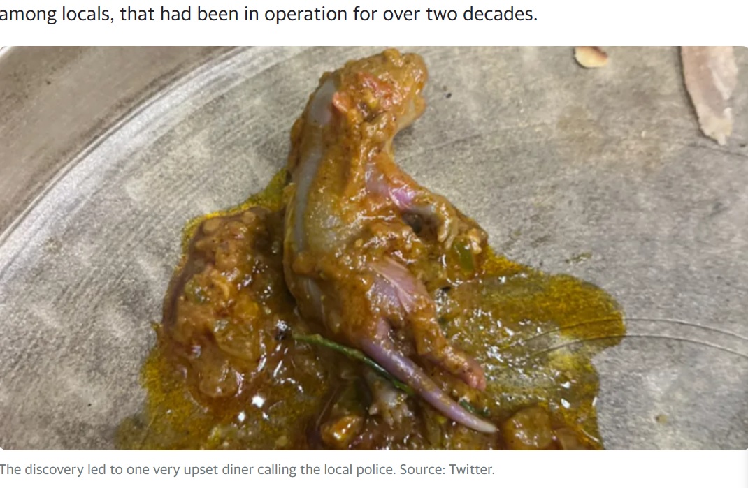 アヌラーグさんが注文したチキンカレーに混入していたネズミ。手足の指や尻尾まではっきり写っている。半分以上食べてしまった後のことで、すぐにレストランのマネージャーに苦情を申し立てた（画像は『Yahoo News Australia　2023年8月17日付「Stomach-churning find in restaurant meal prompts man to call the police」（Source: Twitter）』のスクリーンショット）