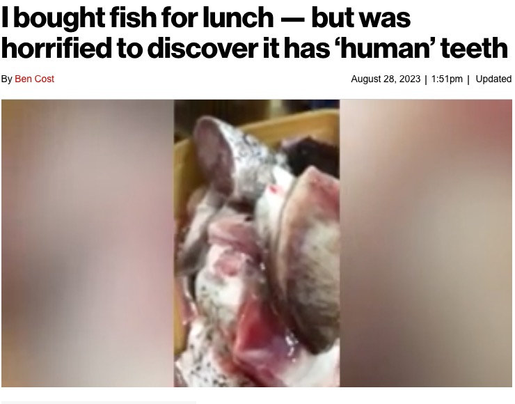 フィリピンのある女性が魚を捌いていたところ、その魚は“人間にそっくりの白い歯”を持っていたという（画像は『New York Post　2023年8月28日付「I bought fish for lunch ― but was horrified to discover it has ‘human’ teeth」（ViralPress）』のスクリーンショット）