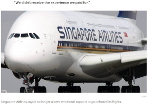 ジルさんの訴えに、ギフト券や旅行券をオファーしたシンガポール航空。しかしジルさんは受け取りを拒否し、チケット代の全額返金を求めている（画像は『Stuff.co.nz　2023年9月8日付「Couple want refund after being sat next to ‘snorting, farting’ dog on Singapore Airlines flight」（123RF）』のスクリーンショット）