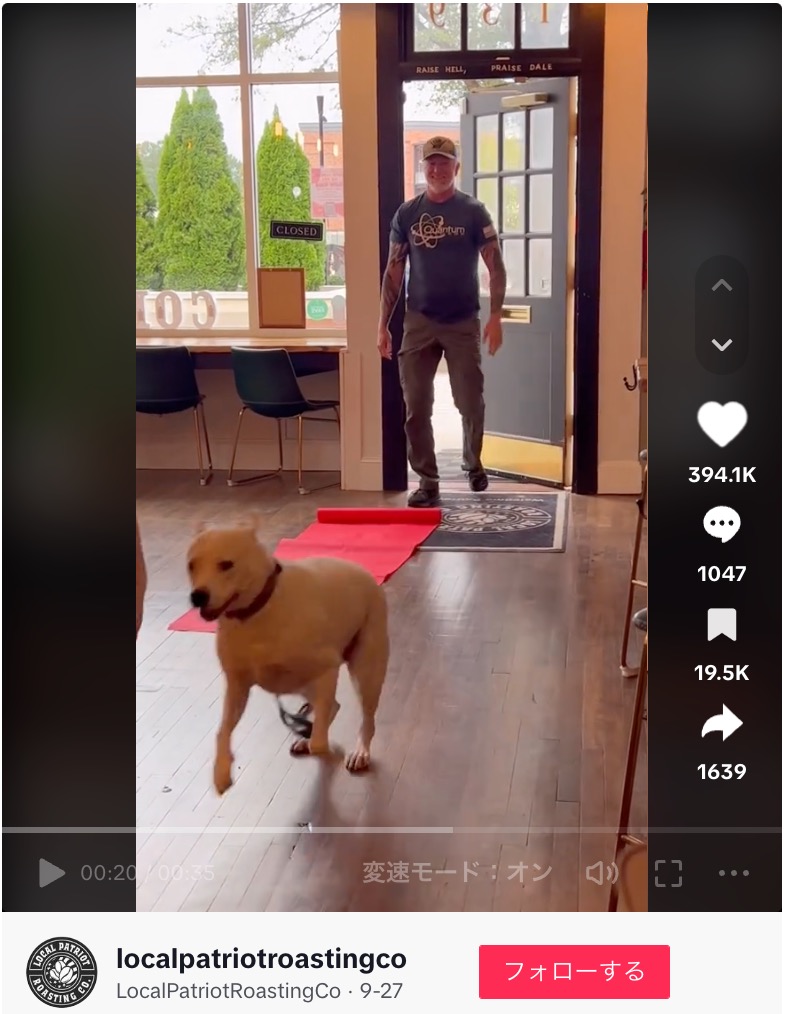 レッドカーペットで出迎えられた飼い主と一緒に来店した犬は、嬉しそうに走り出していた（画像は『LocalPatriotRoastingCo　2023年9月27日付TikTok「Best Coffee in Cabarrus County 2023」』のスクリーンショット）