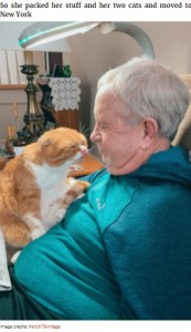 米ニューヨークで2021年、がんを患う男性と出会って2か月で仲良くなった猫。男性の娘は「この子は間違いなく、父の精神的な支えになっている」と話していた（画像は『Bored Panda　2021年4月14日付「Cat Refuses To Leave The Side Of His Grandpa Who’s Fighting Cancer」（Image credits: french75vintage）』のスクリーンショット）