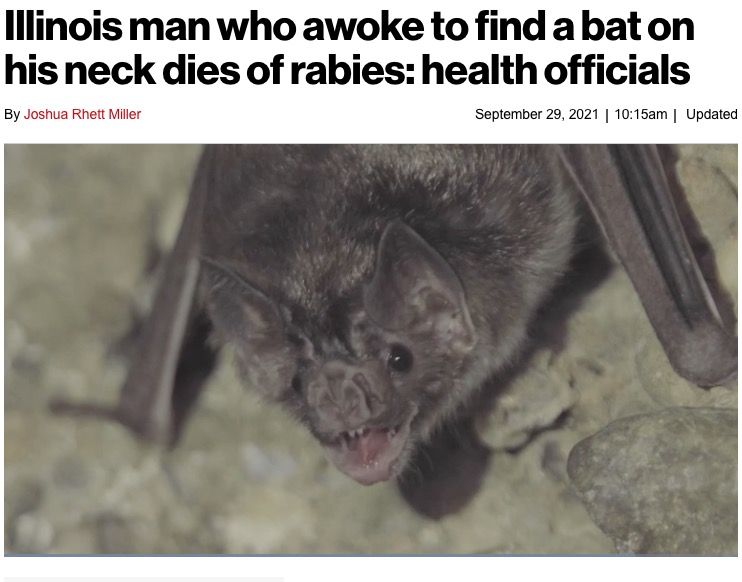 2021年にはアメリカで就寝中にコウモリに噛まれた80代男性が、狂犬病に感染し死亡した（画像は『New York Post　2021年9月29日付「Illinois man who awoke to find a bat on his neck dies of rabies: health officials」』のスクリーンショット）