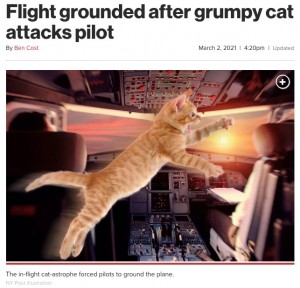 2021年にはスーダンで猫が忍び込んだうえ、パイロットに攻撃まで仕掛けたという。結果、緊急着陸することになった（画像は『New York Post　2021年3月2日付「Flight grounded after grumpy cat attacks pilot」（NY Post illustration）』のスクリーンショット）