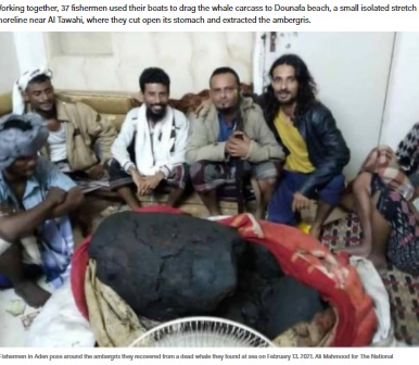 イエメンで2021年2月、マッコウクジラの死骸から龍涎香が見つかる。約127キロの龍涎香は約1億6500万円で買い取られ、クジラを引き上げた漁師らは一夜にして大金持ちになったそうだ（画像は『The National　2021年2月16日付「Million-dollar belch: Yemeni fishermen celebrate whale vomit find」（Ali Mahmood for The National）』のスクリーンショット）