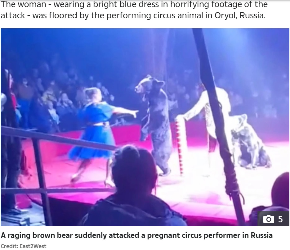 ロシアで2021年、サーカス公演中にクマが女性トレーナーを襲う。女性は軽傷で済んでいた（画像は『The Sun　2021年10月17日付「BEAR RAGE Horror moment ‘jealous’ brown bear attacks pregnant circus performer in front of screaming children」（Credit: East2West）』のスクリーンショット）