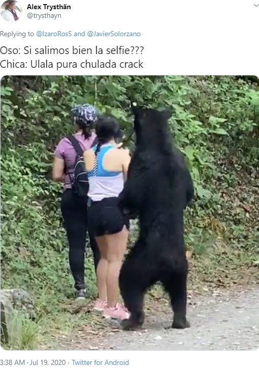 メキシコの自然公園で2020年7月、ハイキング中の女性3人に近づいたクマ。女性たちは始終冷静に対応して無事だった（画像は『Alex Trysthän　2020年7月19日付X「Oso: Si salimos bien la selfie???」』のスクリーンショット）