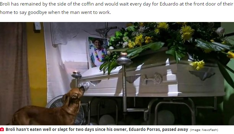 コロンビアで2022年2月、土砂崩れで亡くなった飼い主の棺のそばを2日間離れなかった犬（画像は『The Daily Star　2022年2月11日付「Devastated dog pines for owner at his funeral after being killed in deadly landslide」（Image: Newsflash）』のスクリーンショット）