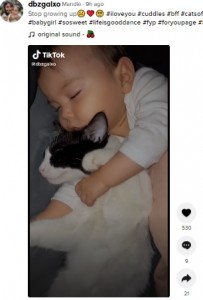 アメリカ在住のシングルマザーが引き取った保護猫。1歳の娘と毎晩一緒に寝るほど仲が良いそうだ（画像は『Mandie　2021年9月7日付TikTok「Stop growing up」』のスクリーンショット）