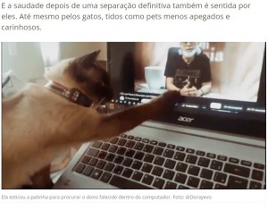 ブラジルで今年8月、約1年前に亡くなった飼い主が映ったビデオを見る猫。前足でそっと撫でて亡き飼い主に触れようとしていた（画像は『Nova Mulher　2023年8月15日付「“Me acompanha no luto”. Jovem mostra imagens do falecido pai para gato de estimação e pet reage」（Foto: ＠dorayevo）』のスクリーンショット）