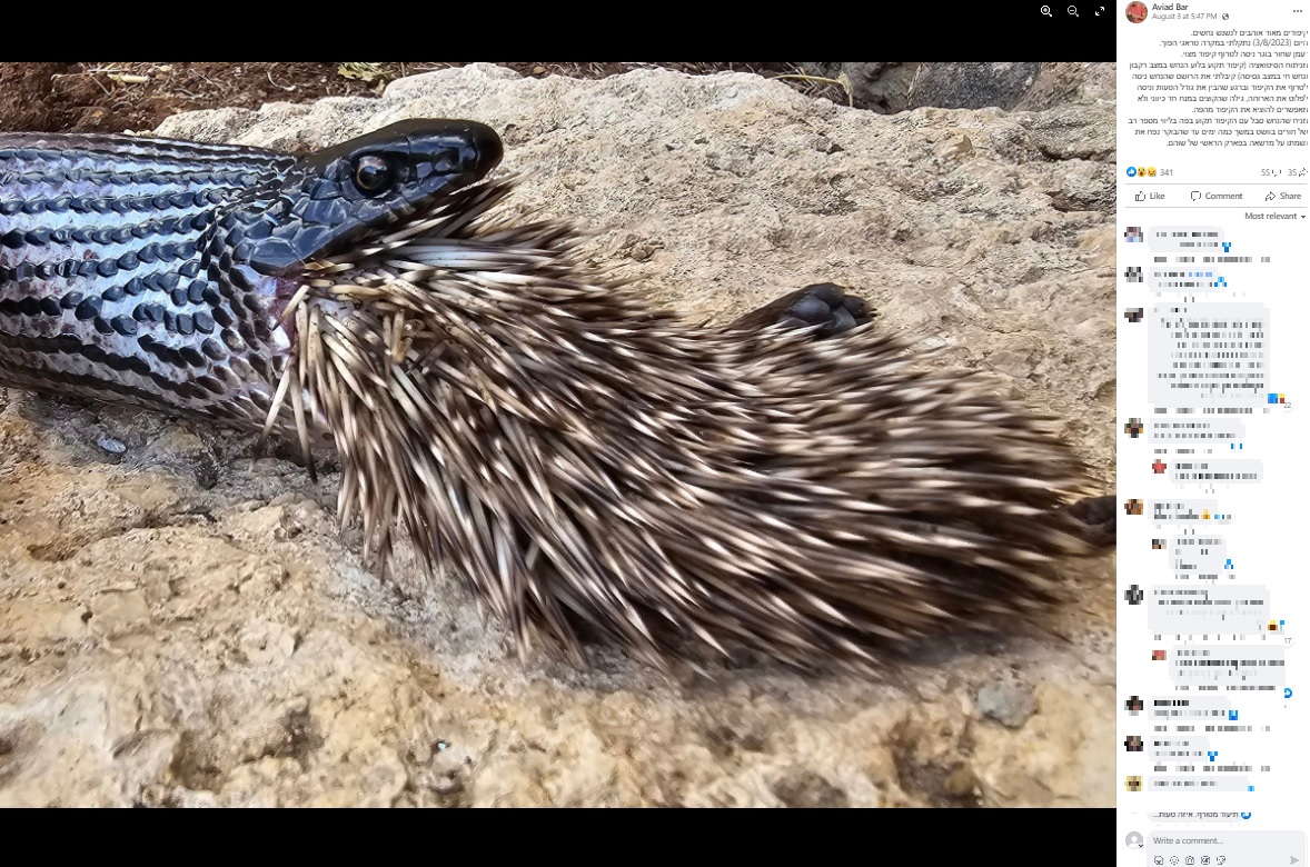 イスラエル自然・公園局の生態学者が今年8月にSNS投稿した写真。ヘビはヤマアラシを呑み込んだが、針毛が口に刺さったまま動けず、数日後に死んでしまったという（画像は『Aviad Bar　2023年8月3日付Facebook「קיפודים מאוד אוהבים לנשנש נחשים.」』のスクリーンショット）