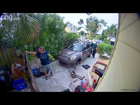 米フロリダ州のある住宅地で2019年12月、女性が助けを求めて叫んでいると通報があった。しかし声の正体はおしゃべり上手なオウムだった（画像は『ViralHog　2020年1月3日公開 YouTube「Neighbor Calls Police on Parrot || ViralHog」』のサムネイル）