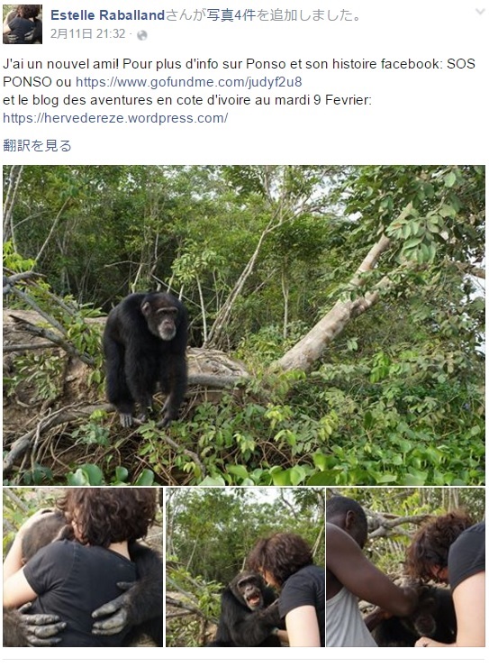 動物実験の末、西アフリカの島に捨てられたチンパンジー。2016年1月にチンパンジー保護センターの理事がやって来ると、駆け寄って大きな手を広げてハグをしていた（画像は『Estelle Raballand　2016年2月12日付Facebook「J’ai un nouvel ami!」』のスクリーンショット）