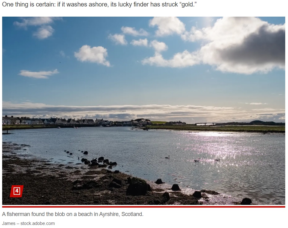 スコットランド南西部エアシャー州の海岸を散歩していた漁師、一緒にいた愛犬が“海のお宝”を発見したという（画像は『New York Post　2023年10月13日付「Fisherman’s dog finds whale vomit possibly worth millions: ‘Treasure of the sea’」（James - stock.adobe.com）』のスクリーンショット）