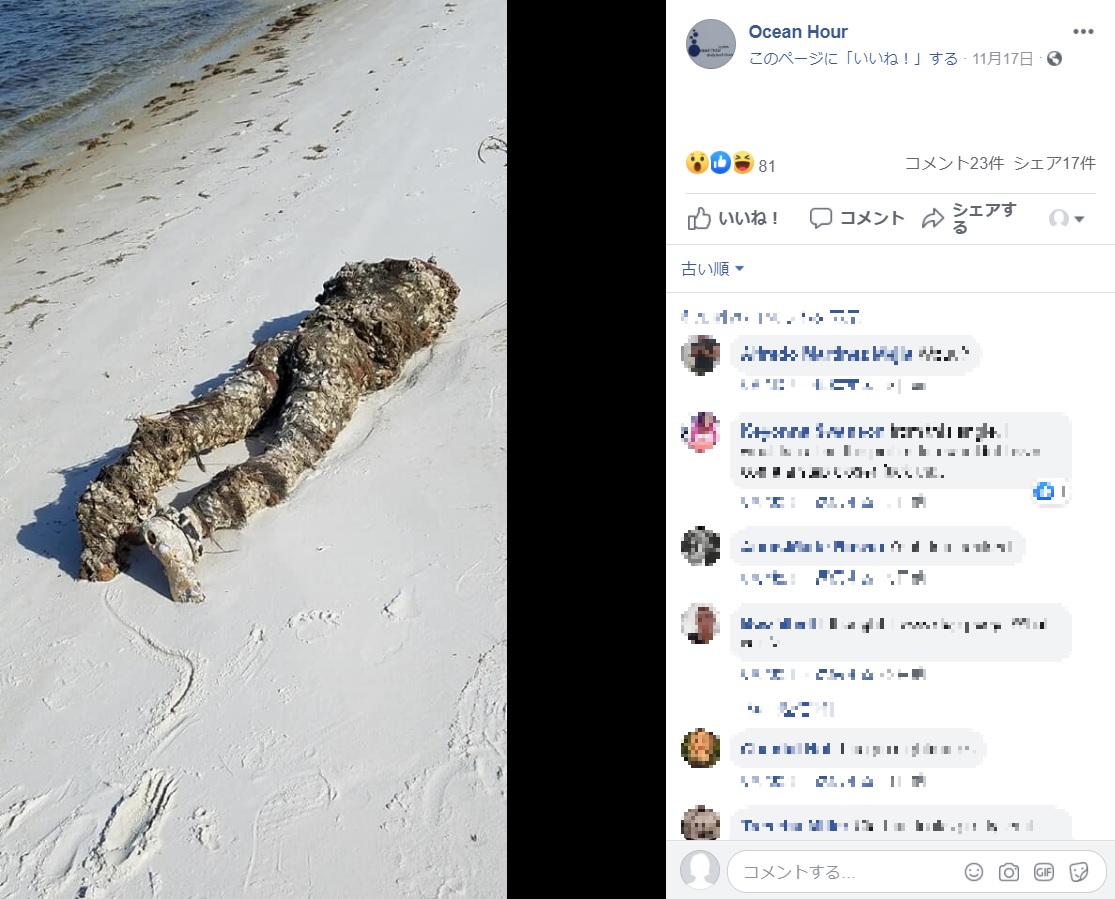米フロリダ州の海岸で2020年に発見された“遺体”らしきもの。のちにマネキンと判明し「勘違いして当然」という声があがっていた（画像は『Ocean Hour　2020年11月17日付Facebook「Volunteer Kathleen was walking the intercoastal side in Perdido Key…」』のスクリーンショット）