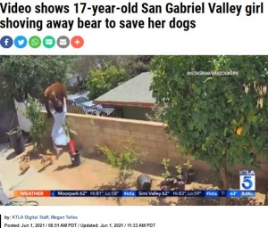 米カリフォルニア州にある一軒家で2021年5月、ブロック塀の上に現れたクマの親子。飼い犬を襲おうとしていたことから、この家に住む女性が塀の上の母グマを突き飛ばした（画像は『KTLA　2021年6月1日付「Video shows 17-year-old San Gabriel Valley girl shoving away bear to save her dogs」（Instagram / Bakedlikepie）』のスクリーンショット）