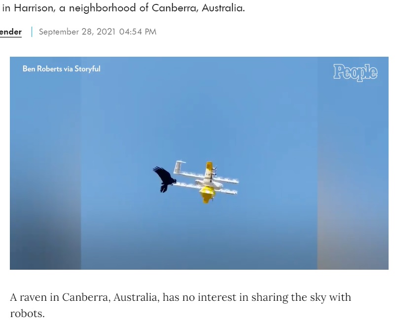 豪キャンベラでドローンによるデリバリーサービスを行う会社が2021年、カラスがドローンを襲撃するケースが多発し、一部の地域でサービスを停止する状況に陥った（画像は『People.com　2021年9月28日付「‘Territorial’ Raven’s Attack on Delivery Drone Caught on Camera in Australia」』のスクリーンショット）
