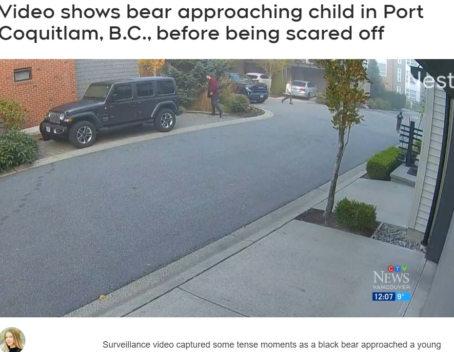 車の陰に隠れたクマを追う男性。ハクスリーくんは隙を見てキックボードで去っていき、助手席に乗っていた女性が男児を気遣い話しかけている（画像は『CTV News Vancouver　2023年10月24日付「Video shows bear approaching child in Port Coquitlam, B.C., before being scared off」』のスクリーンショット）
