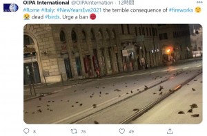 イタリアのローマで2021年、道路に大量のムクドリの死骸が。動物保護団体は「新年の打ち上げ花火が原因」と訴えていた（画像は『OIPA International　2020年1月2日付X「＃Rome ＃Italy: ＃NewYearsEve2021 the terrible consequence of ＃fireworks」』のスクリーンショット）