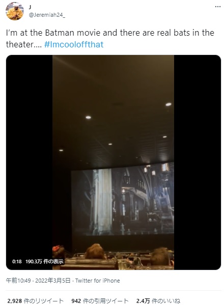 2022年にはアメリカでバットマン上映中に映画館に本物のコウモリが迷い込んだ。観客らは「4D映画かな？」とジョークを飛ばしたという（画像は『J　2022年3月5日付Twitter「I’m at the Batman movie and there are real bats in the theater」』のスクリーンショット）