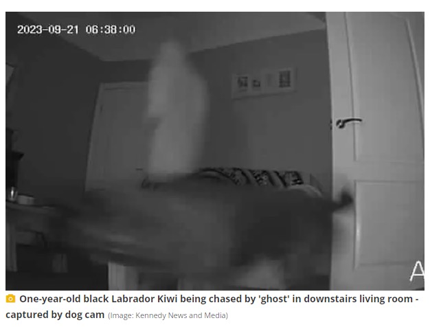 英ランカシャー州にある築135年の家で今年9月、ペットカメラが捉えた謎の人影。それは宙を浮いて移動しているようにも見えたという（画像は『Manchester Evening News　2023年10月11日付「Couple spooked as dog cam pictures hooded figure chasing their pet」（Image: Kennedy News and Media）』のスクリーンショット）
