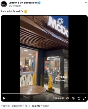 【海外発！Breaking News】パレスチナ国旗の色に染めた大量のネズミ、マクドナルド店内に放たれる（英）＜動画あり＞