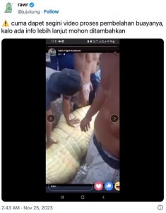 捕獲されたワニの体内に、襲われた少年の遺体は見つからなかったという（画像は『rawr　2023年11月25日付X「cuma dapet segini video proses pembelahan buayanya」』のスクリーンショット）