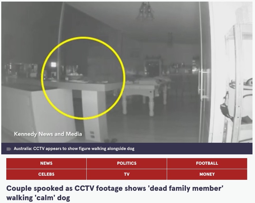 豪ニュー・サウス・ウェールズ州のある家で今年1月、監視カメラに犬の後を追う不気味な白い人影が映っていた（画像は『The Mirror　2023年1月19日付「Couple spooked as CCTV footage shows ‘dead family member’ walking ‘calm’ dog」（Image: Kennedy News and Media）』のスクリーンショット）