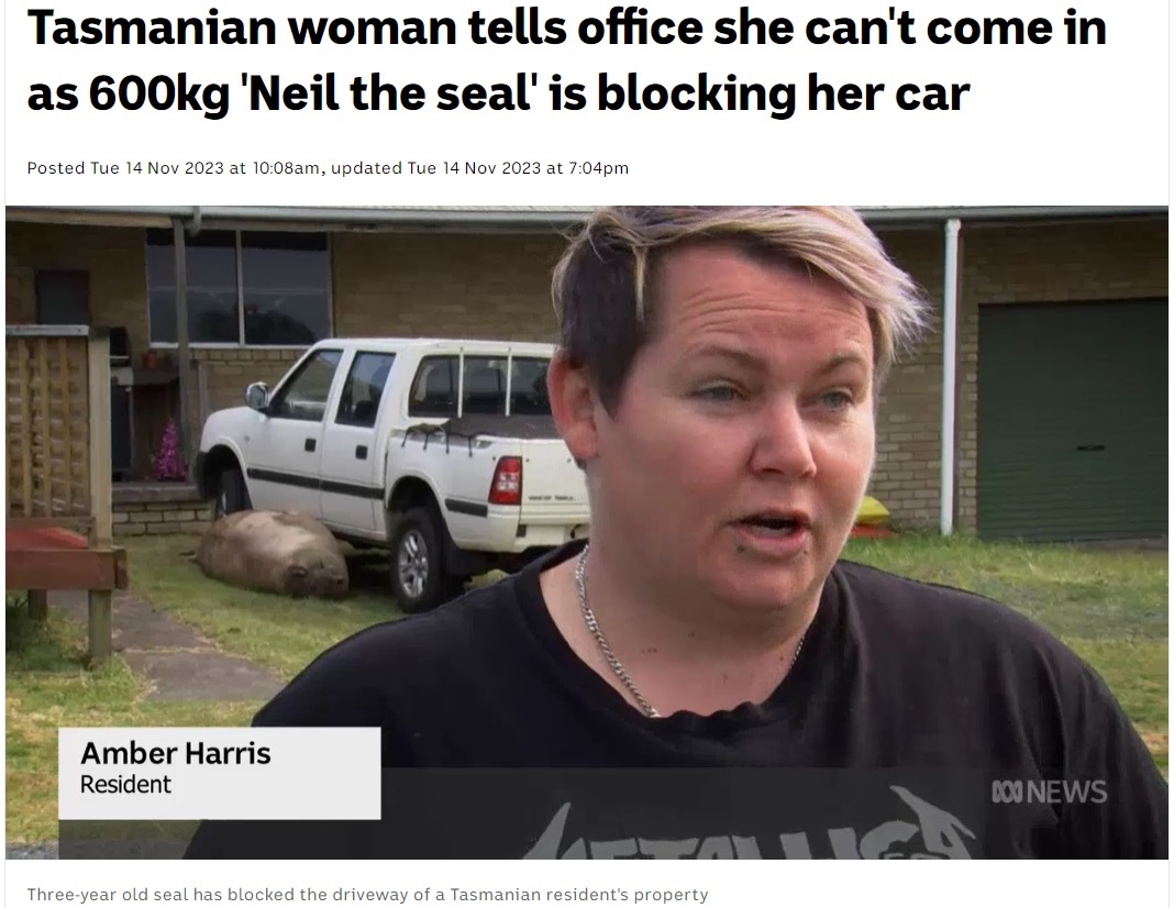 体重600キロのアザラシが車の前で寝ていたため、アンバーさんは出勤が遅れることを職場の上司に連絡したという（画像は『ABC（Australian Broadcasting Corporation）　2023年11月14日付「Tasmanian woman tells office she can’t come in as 600kg ‘Neil the seal’ is blocking her car」』のスクリーンショット）