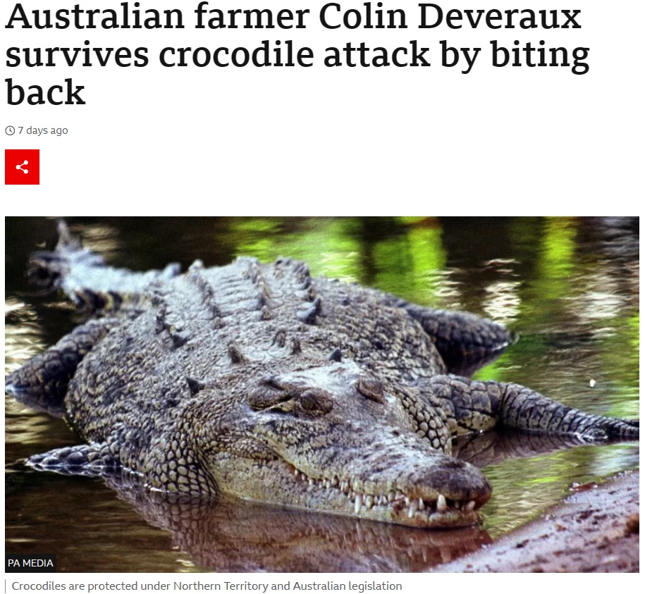 川の中に足を踏み入れた際に、ワニに右脚を噛まれてしまった男性。噛みついて放そうとしないワニを振り払うため、ワニに噛みつき返した（画像は『BBC　2023年11月8日付「Australian farmer Colin Deveraux survives crocodile attack by biting back」（PA MEDIA）』のスクリーンショット）