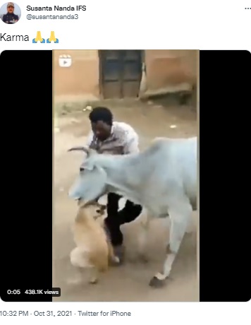 インド森林サービス職員が2021年10月、SNSに投稿した動画には、犬を虐待した男がそれを見ていた牛に猛アタックされる様子が捉えられていた（画像は『Susanta Nanda IFS　2021年10月31日付X「Karma」』のスクリーンショット）