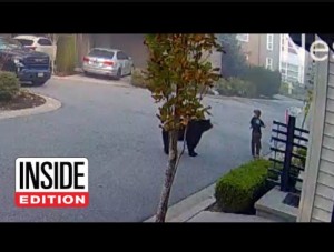 2023年カナダで今月、7歳男児がアメリカクロクマ（アメリカグマ）と遭遇するも、男児や近隣住民の冷静な対応に注目が集まった（画像は『Inside Edition　2023年10月22日公開 YouTube「7-Year-Old Encounters Massive Bear While Riding Scooter」』のサムネイル）