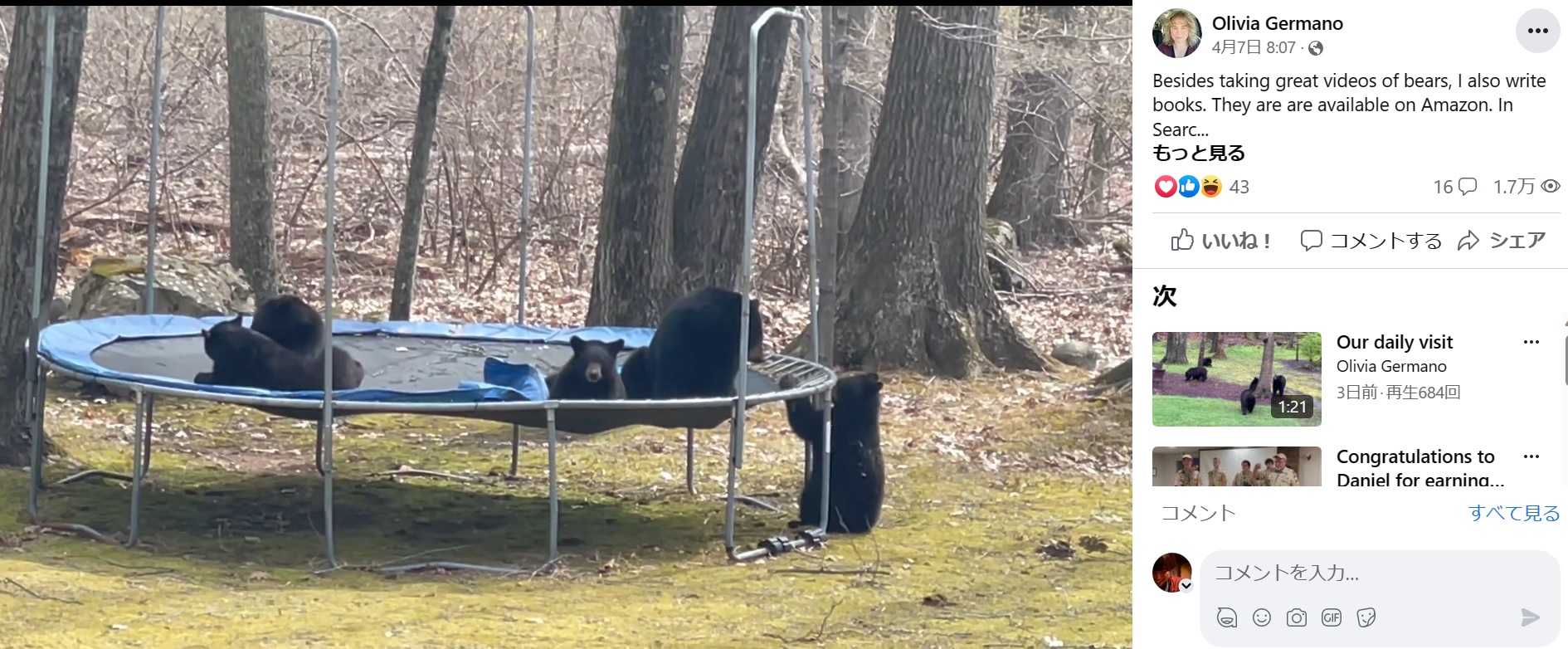米コネチカット州で今年4月、トランポリンで遊ぶ野生のクマ親子が撮影される。動画には「一日中見ていられる」といった声も届いていた（画像は『Olivia Germano　2023年4月7日付Facebook「Another visit.」』のスクリーンショット）