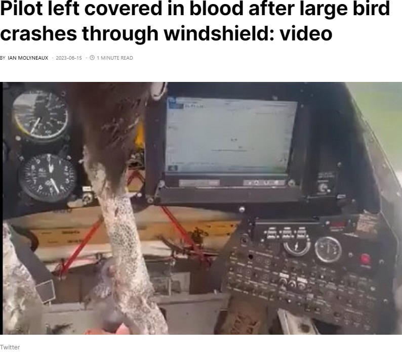 エクアドルの上空を飛んでいた小型機が今年6月、巨大な鳥がフロントガラスに衝突した。機内の生々しい映像が人々を驚かせていた（画像は『AeroTime　2023年6月15日付「Pilot left covered in blood after large bird crashes through windshield: video」（Twitter）』のスクリーンショット）