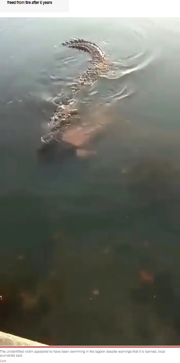 メキシコの湖で2022年8月、男性がワニに襲われた。ワニはその後、男性の遺体をくわえて水面に浮上していた（画像は『New York Post 2022年8月19日付「Giant croc carries dead man’s body through Mexican lagoon」（CEN）』のスクリーンショット）