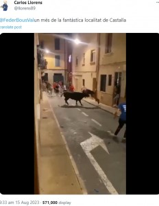 スペインの牛祭りで今年8月、男性が雄牛に角で突かれ、まるでお手玉のように宙を舞う姿が捉えられていた（画像は『Carlos Llorens　2023年8月15日付X「＠FederBousVal　un més de la fantàstica localitat de Castalla」』のスクリーンショット）
