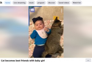 2021年、米テキサス州のある家に引き取られた保護ネコ。なかなか心を開かなかったものの、一家に女児が誕生するとその子のそばを離れないようになった（画像は『The Daily Mail　2022年3月28日付Facebook「Cat becomes best friends with baby girl」』のスクリーンショット）