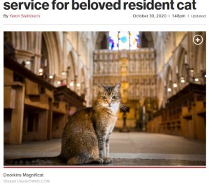 英ロンドンの教会で飼われていた猫。2020年9月に息を引き取り、司祭は猫のために追悼式を行った（画像は『New York Post　2020年10月30日付「London cathedral holds funeral service for beloved resident cat」（Bridget Davey/SWNS.COM）』のスクリーンショット）