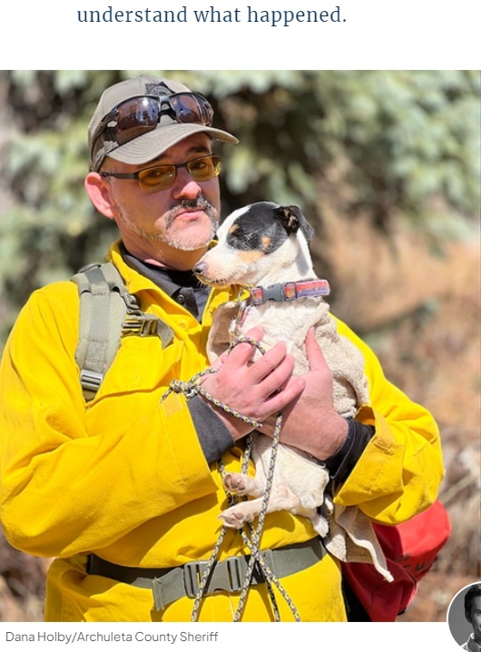 米コロラド州サンファン山脈のブラックヘッド山に8月19日、登山にでかけた男性（71）と愛犬でジャック・ラッセル・テリアのメス“フィニー”。男性が行方不明になって72日後、遺体のそばにいたフィニーが保護された（画像は『Outside Magazine　2023年11月15日付「A Hiker and a Terrier Climbed a Peak. The Dog Came Home 72 Days Later.」（Dana Holby/Archuleta County Sheriff）』のスクリーンショット）