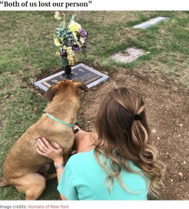 がんで亡くなった姉の愛犬を引き取った女性が2020年8月、その犬との絆についてSNSに投稿。「癒され、強い絆を感じる」と綴っていた（画像は『Bored Panda　2020年9月2日付「Girl Loses Her Sister To Cancer, Sister’s Dog Jet Steps In To Help Her Mourn And They Become Inseparable」（Image credits: Humans of New York）』のスクリーンショット）