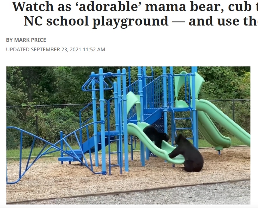米ノースカロライナ州の小学校で2021年、滑り台で遊ぶ野生のクマの親子の姿が撮影される。子の安全を配慮する姿が「人間そっくり」と話題になった（画像は『Charlotte Observer　2021年9月23日付「Watch as ‘adorable’ mama bear, cub take over NC school playground ― and use the slides」』のスクリーンショット）