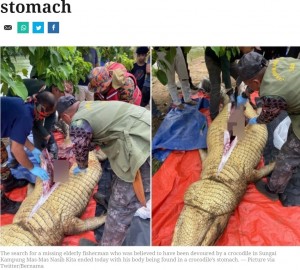 マレーシアのボルネオ島で今年7月、60歳の男性の遺体の一部がワニの腹部から発見された。男性は4日前から行方不明だったという（画像は『Malay Mail　2023年7月23日付「Body of missing fisherman in Tawau found in crocodile’s stomach」（Picture via Twitter/Bernama）』のスクリーンショット）