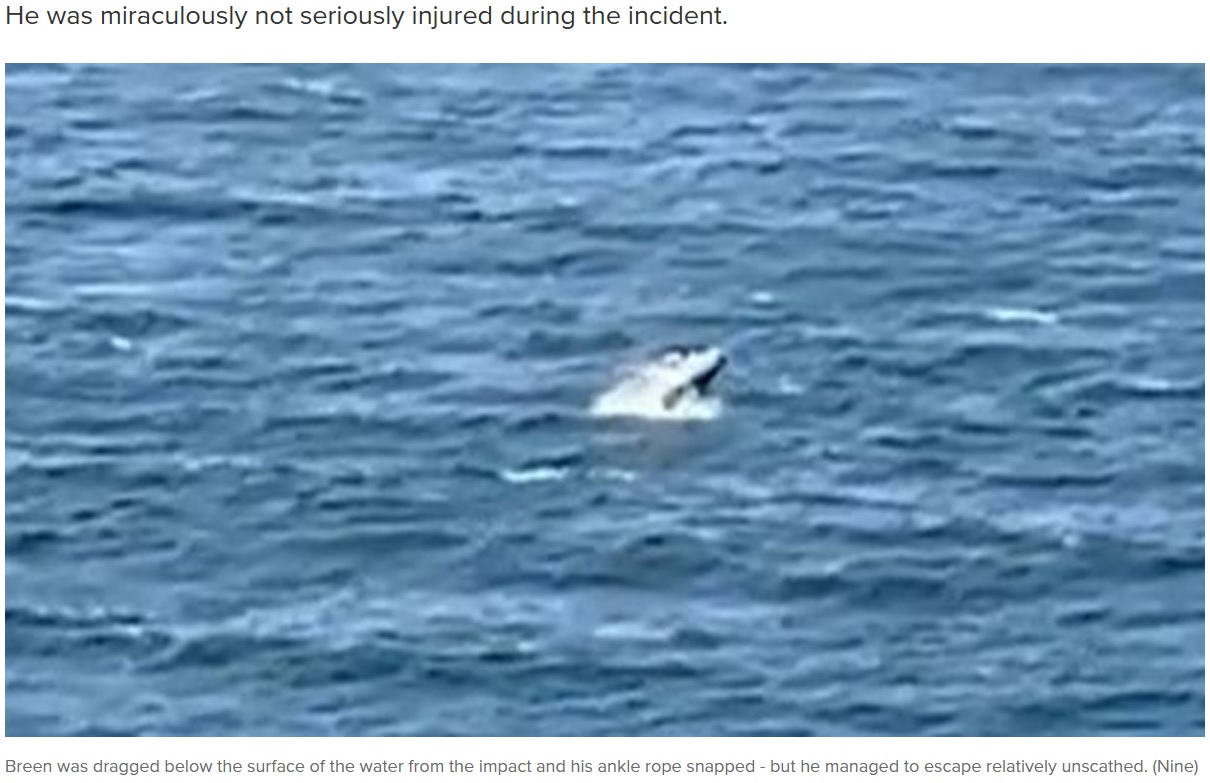 遠くで海を撮影していた人が、偶然にもクジラと衝突した瞬間をカメラで捉えていた。クジラが海面からジャンプした姿が確認できる（画像は『9News　2023年10月25日付「Watch: Incredible moment NSW wing surfer captures collision with whale on his GoPro」（Nine）』のスクリーンショット）