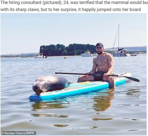 2021年7月、英ドーセット州の海でパドルボードを楽しんでいた男性。アザラシが堂々とボードに乗ってきて、日向ぼっこをしていたという（画像は『WhatsNew2Day　2021年7月28日付「Seal Stuns Paddleboarder As He Hops On Her Board As She Cruises Through Dorset Harbour」（Rachael Towers/BNPS）』のスクリーンショット）