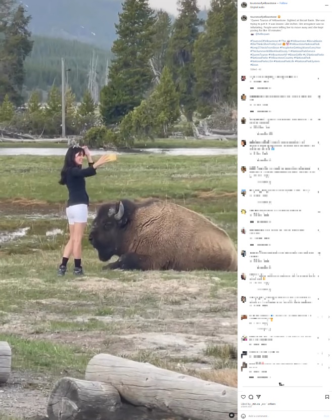 今年、米イエローストーン国立公園のバイソンのすぐそばで自撮りする女性。バイソンがいかに危険か全く理解していない様子で「愚かな観光客の女王」と揶揄された（画像は『TouronsOfYellowstone　2023年5月28日付Instagram「Queen Touron of Yellowstone.」』のスクリーンショット）