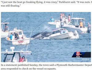 米マサチューセッツ州の沖合で2022年7月、ザトウクジラがジャンプして1隻のボートに乗り上げる事故が発生していた（画像は『The Yucatan Times　2022年7月25日付「Whale lands on top of a boat in Massachusetts （Watch Video）」』のスクリーンショット）