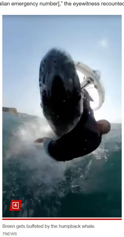 クジラは子どものようだったが、大きな体でジェイソンさんにぶつかってきたという（画像は『New York Post　2023年10月25日付「‘This is what it feels like to die’: Surfer body-slammed by humpback whale in dramatic clip」（7NEWS）』のスクリーンショット）